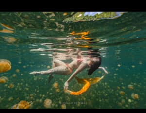 Underwater shot of female model in bikini posing in Palau jellyfish lake