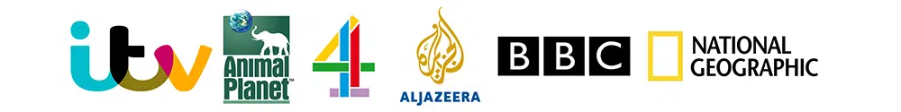 Major broadcasters logos